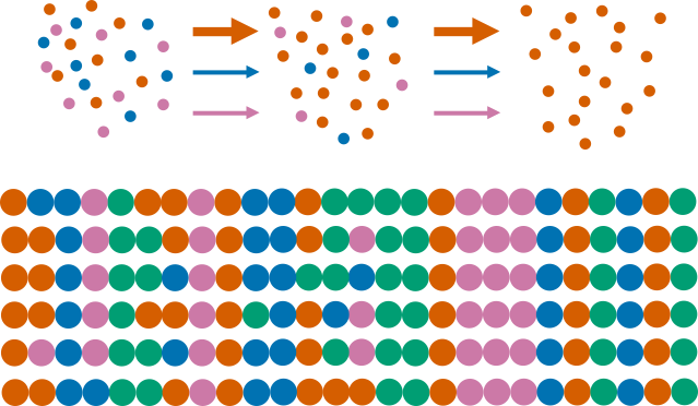 RNA_constraint